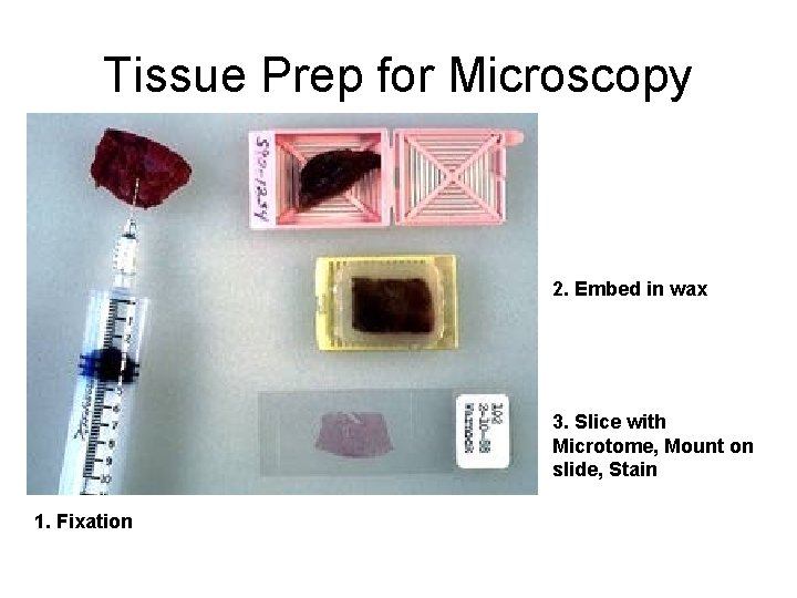 Tissue Prep for Microscopy 2. Embed in wax 3. Slice with Microtome, Mount on