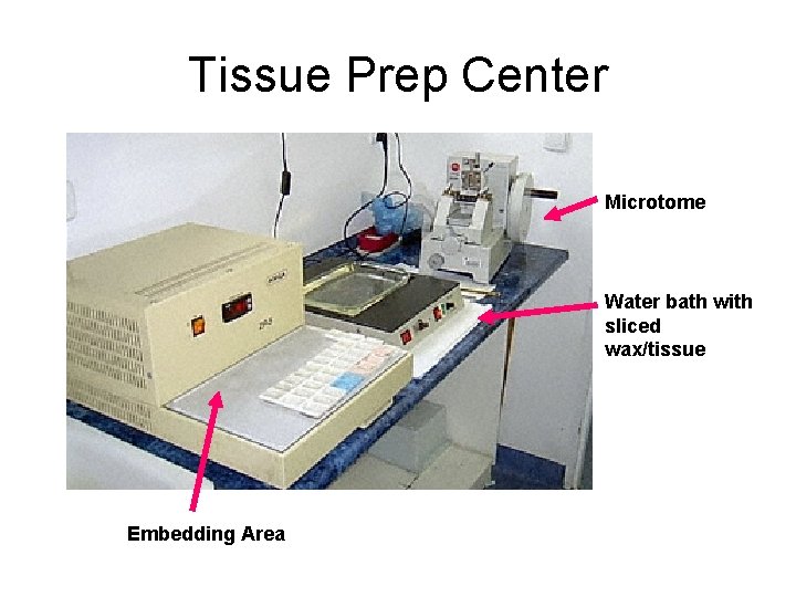 Tissue Prep Center Microtome Water bath with sliced wax/tissue Embedding Area 