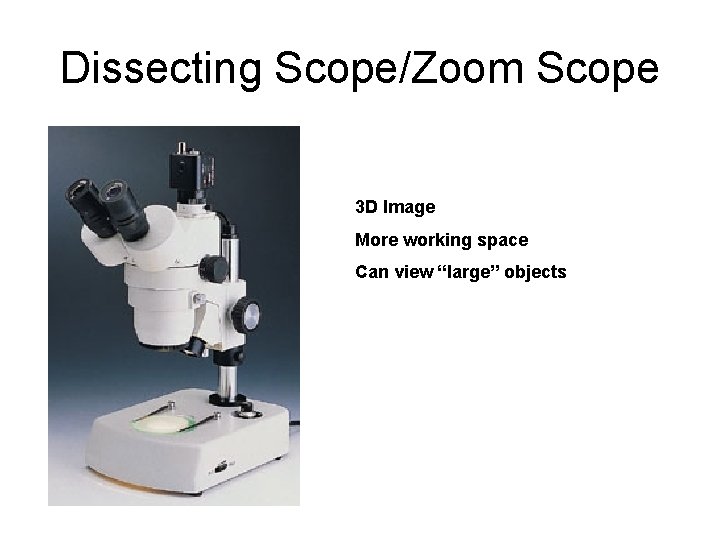 Dissecting Scope/Zoom Scope 3 D Image More working space Can view “large” objects 