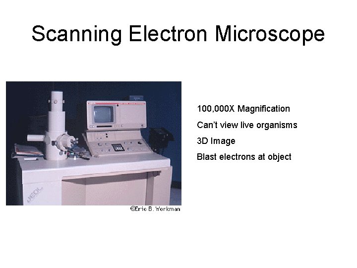 Scanning Electron Microscope 100, 000 X Magnification Can’t view live organisms 3 D Image