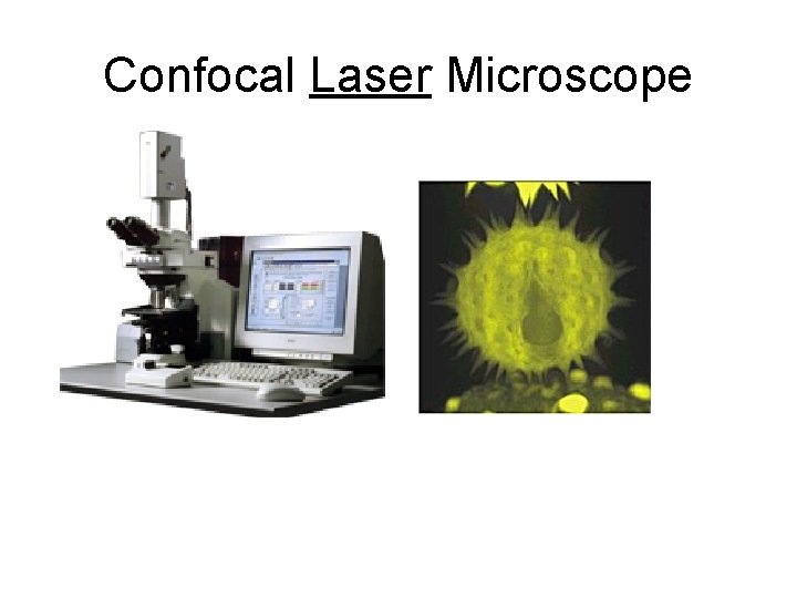 Confocal Laser Microscope 