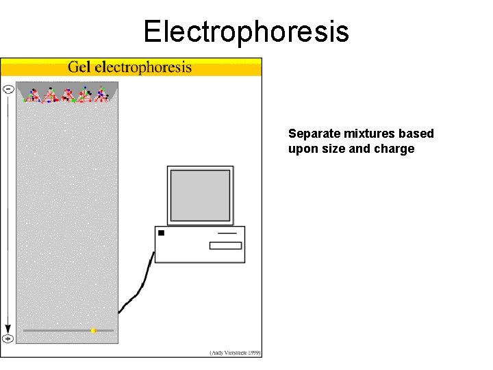 Electrophoresis Separate mixtures based upon size and charge 