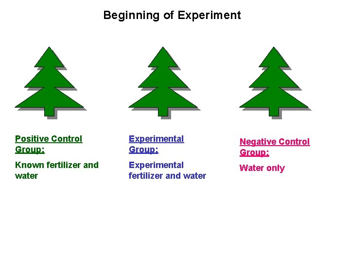 Beginning of Experiment Positive Control Group: Experimental Group: Negative Control Group: Known fertilizer and