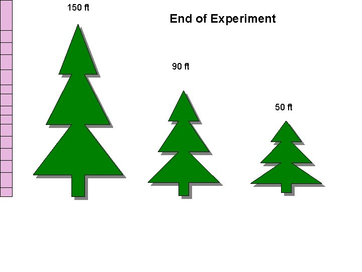 150 ft End of Experiment 90 ft 50 ft 