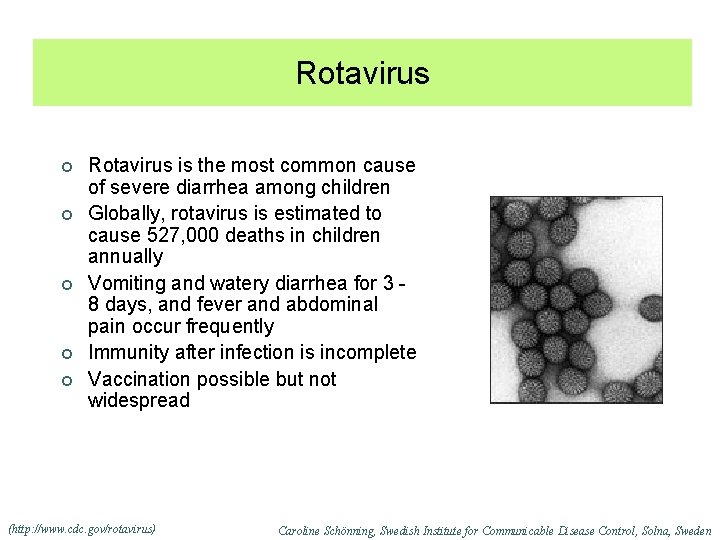 Rotavirus ¢ ¢ ¢ Rotavirus is the most common cause of severe diarrhea among