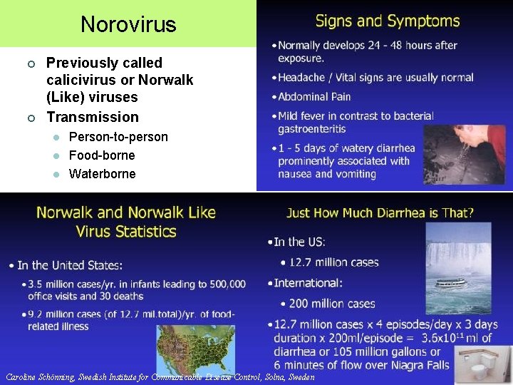 NOROVIRUS Norovirus ¢ ¢ Previously called calicivirus or Norwalk (Like) viruses Transmission l l