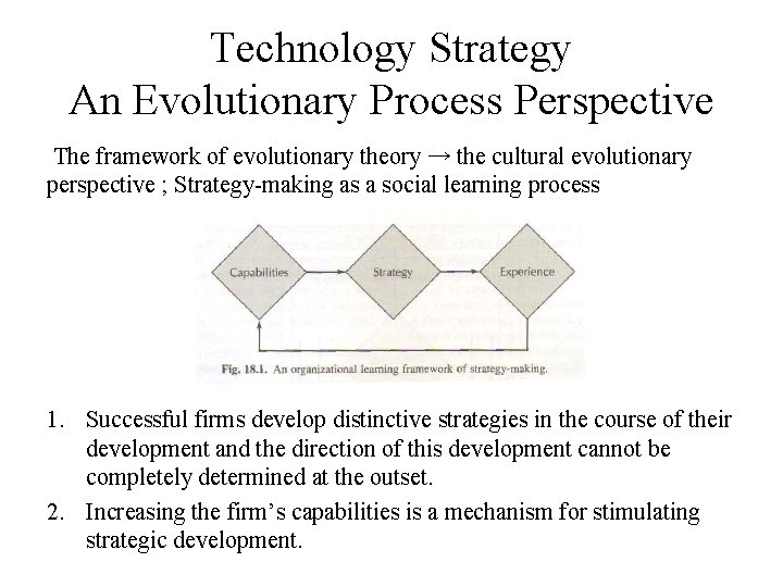 Technology Strategy An Evolutionary Process Perspective The framework of evolutionary theory → the cultural