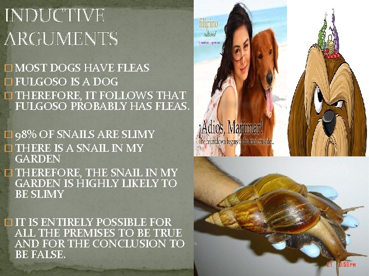 INDUCTIVE ARGUMENTS � MOST DOGS HAVE FLEAS � FULGOSO IS A DOG � THEREFORE,