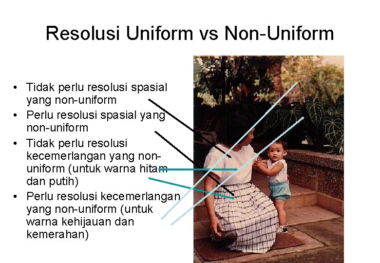 Resolusi Uniform vs Non-Uniform • Tidak perlu resolusi spasial yang non-uniform • Perlu resolusi