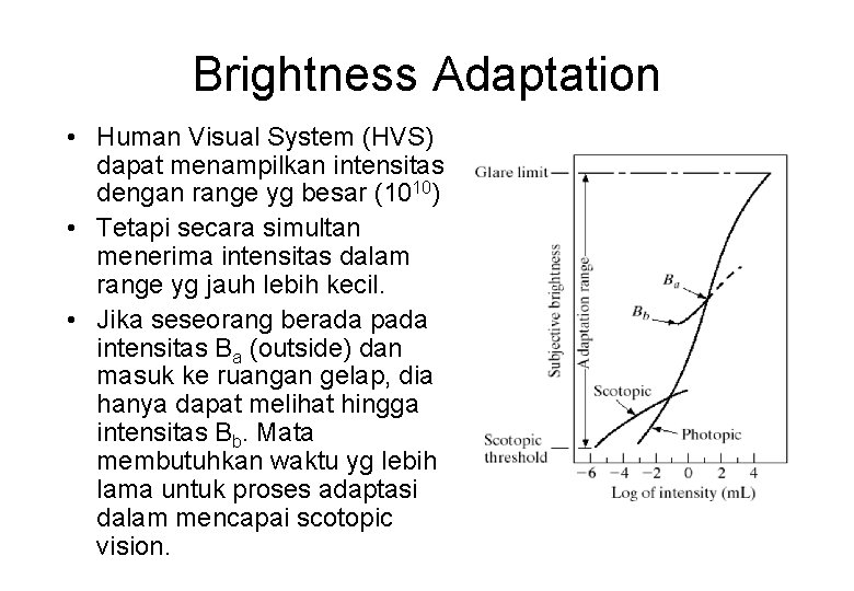 Brightness Adaptation • Human Visual System (HVS) dapat menampilkan intensitas dengan range yg besar