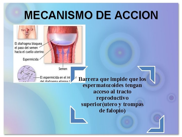 MECANISMO DE ACCION Barrera que impide que los espermatozoides tengan acceso al tracto reproductivo