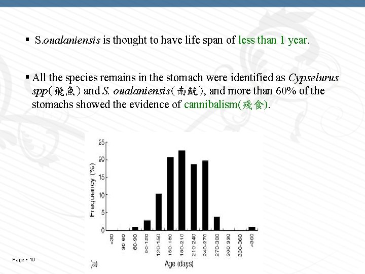  S. oualaniensis is thought to have life span of less than 1 year.