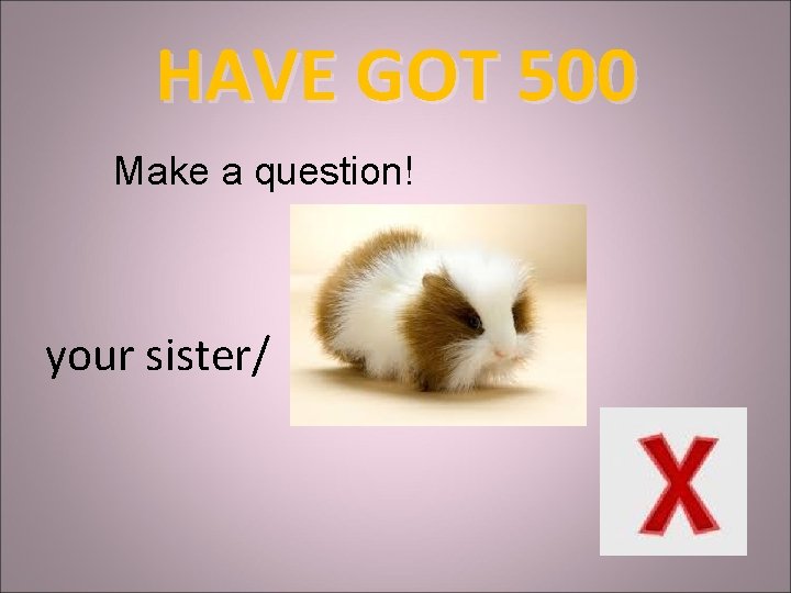 HAVE GOT 500 Make a question! your sister/ 