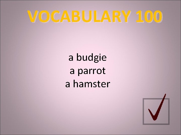 VOCABULARY 100 a budgie a parrot a hamster 