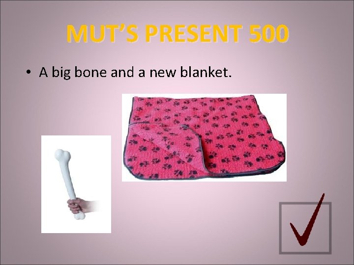 MUT’S PRESENT 500 • A big bone and a new blanket. 