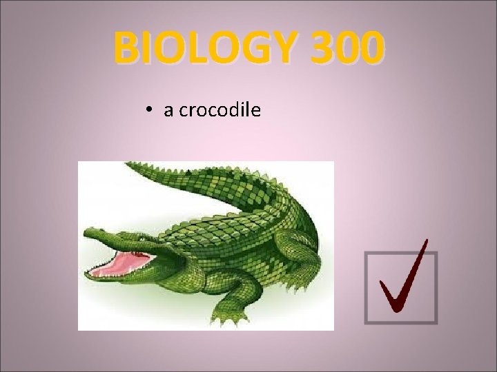 BIOLOGY 300 • a crocodile 