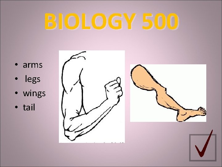 BIOLOGY 500 • • arms legs wings tail 
