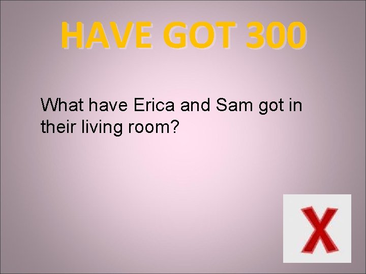 HAVE GOT 300 What have Erica and Sam got in their living room? 