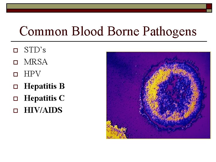 Common Blood Borne Pathogens o o o STD’s MRSA HPV Hepatitis B Hepatitis C