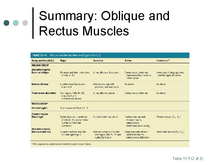 Summary: Oblique and Rectus Muscles Table 11– 9 (2 of 2) 