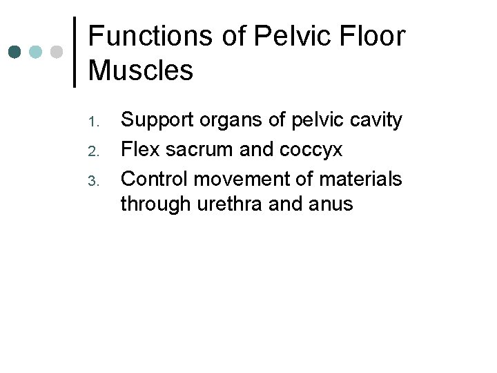 Functions of Pelvic Floor Muscles 1. 2. 3. Support organs of pelvic cavity Flex