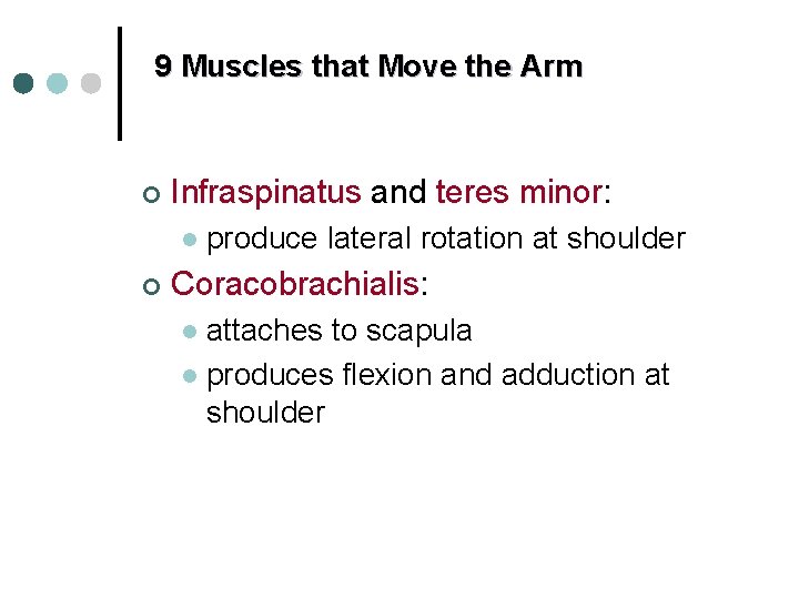 9 Muscles that Move the Arm ¢ Infraspinatus and teres minor: l ¢ produce