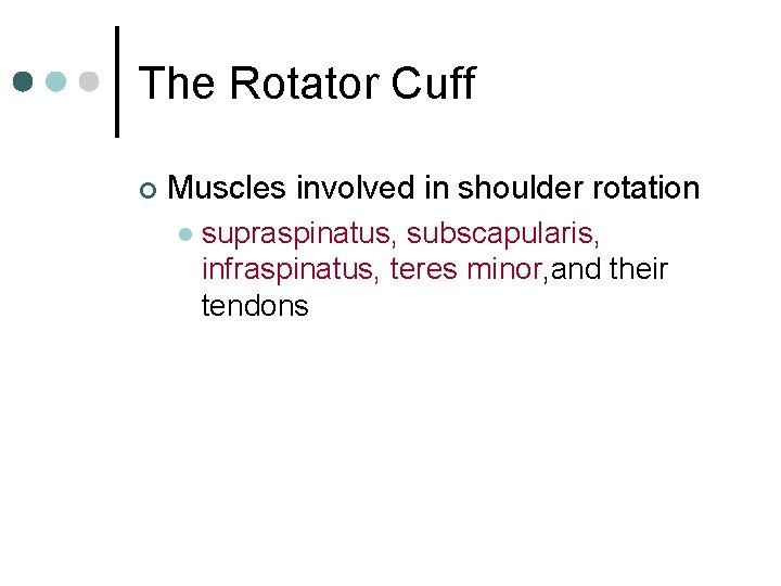 The Rotator Cuff ¢ Muscles involved in shoulder rotation l supraspinatus, subscapularis, infraspinatus, teres