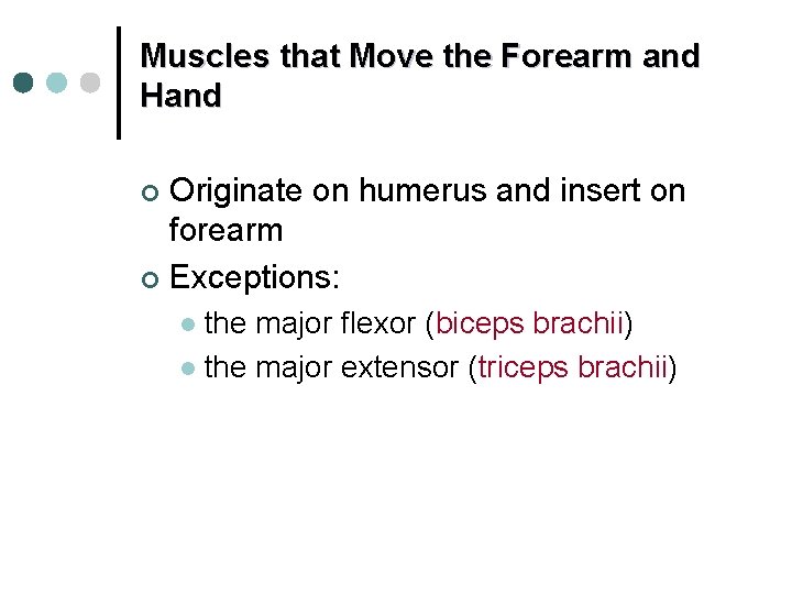 Muscles that Move the Forearm and Hand Originate on humerus and insert on forearm