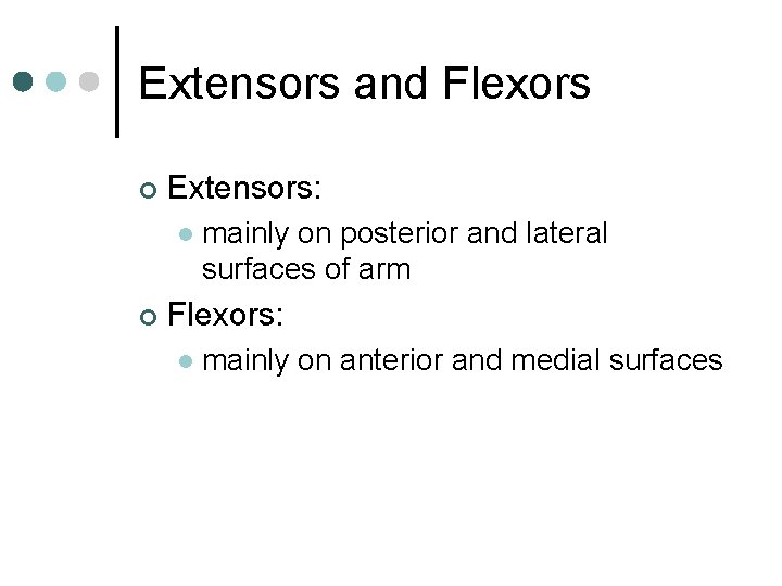 Extensors and Flexors ¢ Extensors: l ¢ mainly on posterior and lateral surfaces of