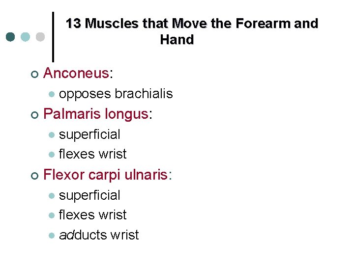 13 Muscles that Move the Forearm and Hand ¢ Anconeus: l ¢ opposes brachialis