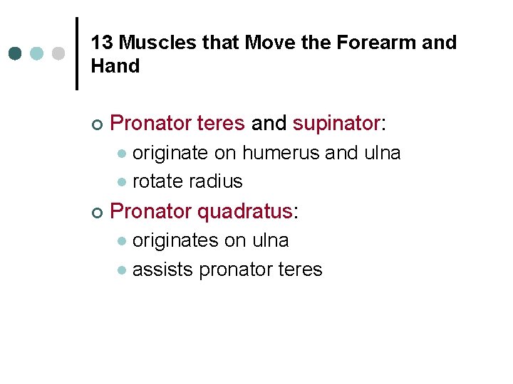 13 Muscles that Move the Forearm and Hand ¢ Pronator teres and supinator: originate