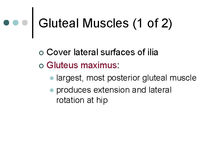 Gluteal Muscles (1 of 2) Cover lateral surfaces of ilia ¢ Gluteus maximus: ¢