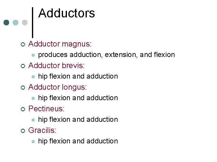 Adductors ¢ Adductor magnus: l ¢ Adductor brevis: l ¢ hip flexion and adduction