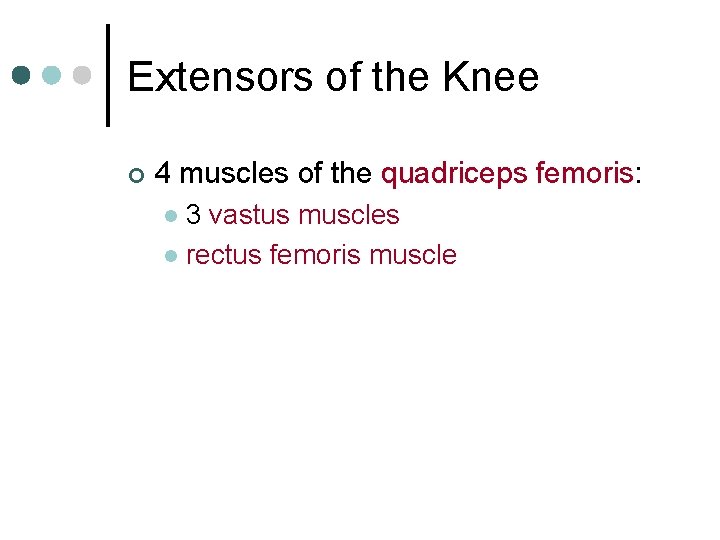 Extensors of the Knee ¢ 4 muscles of the quadriceps femoris: 3 vastus muscles