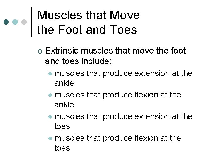 Muscles that Move the Foot and Toes ¢ Extrinsic muscles that move the foot