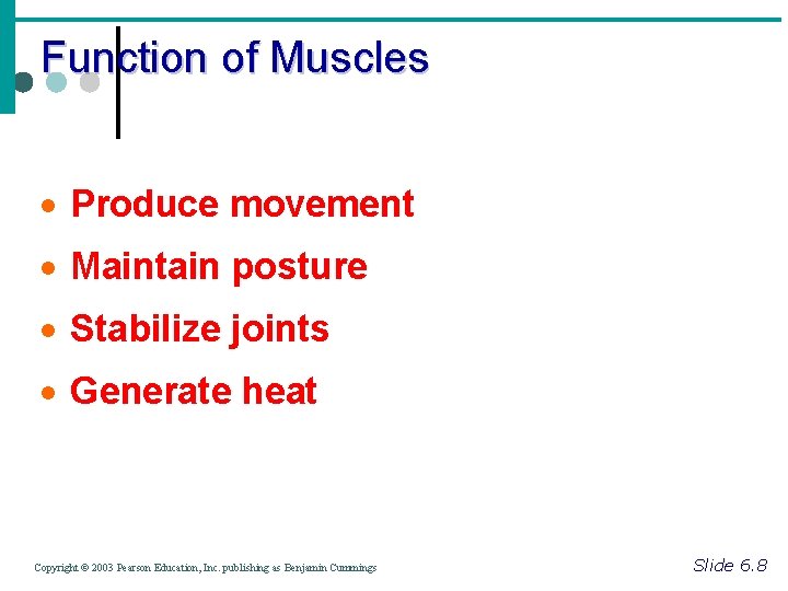 Function of Muscles · Produce movement · Maintain posture · Stabilize joints · Generate