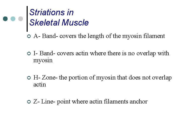 Striations in Skeletal Muscle ¢ A- Band- covers the length of the myosin filament