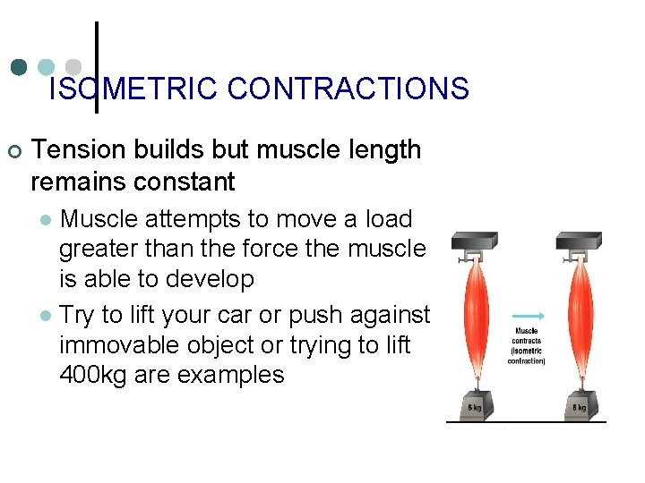 ISOMETRIC CONTRACTIONS ¢ Tension builds but muscle length remains constant Muscle attempts to move