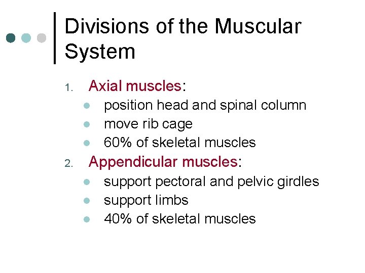 Divisions of the Muscular System 1. Axial muscles: l l l 2. position head