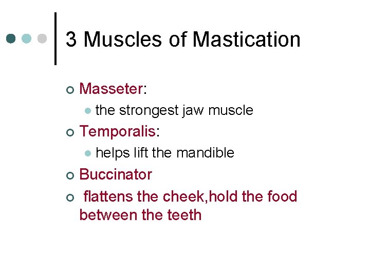 3 Muscles of Mastication ¢ Masseter: l ¢ the strongest jaw muscle Temporalis: l