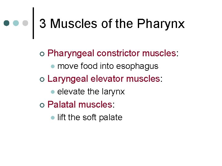 3 Muscles of the Pharynx ¢ Pharyngeal constrictor muscles: l ¢ Laryngeal elevator muscles: