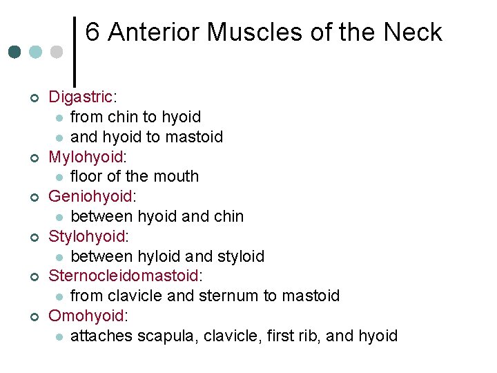 6 Anterior Muscles of the Neck ¢ ¢ ¢ Digastric: l from chin to