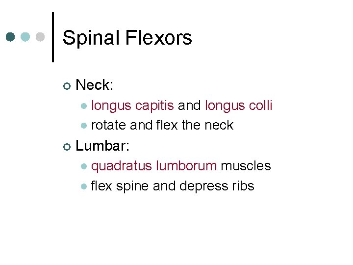 Spinal Flexors ¢ Neck: longus capitis and longus colli l rotate and flex the