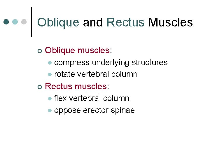 Oblique and Rectus Muscles ¢ Oblique muscles: compress underlying structures l rotate vertebral column