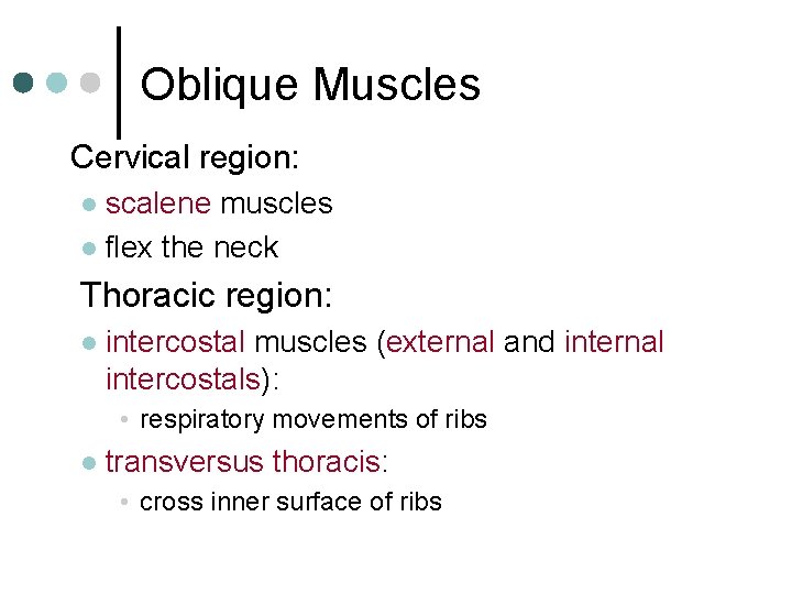 Oblique Muscles Cervical region: scalene muscles l flex the neck l Thoracic region: l
