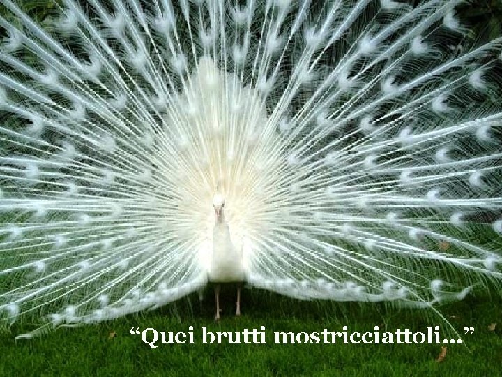 “Quei brutti mostricciattoli…” 