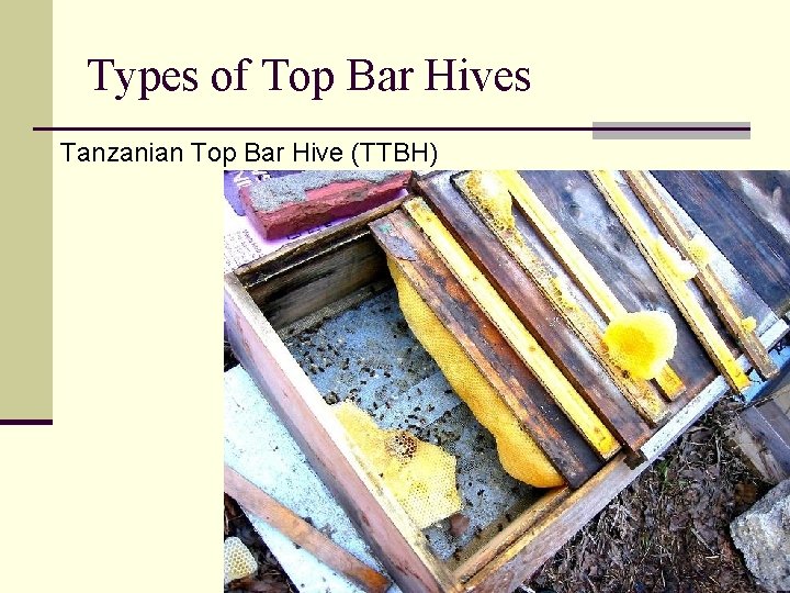 Types of Top Bar Hives Tanzanian Top Bar Hive (TTBH) 