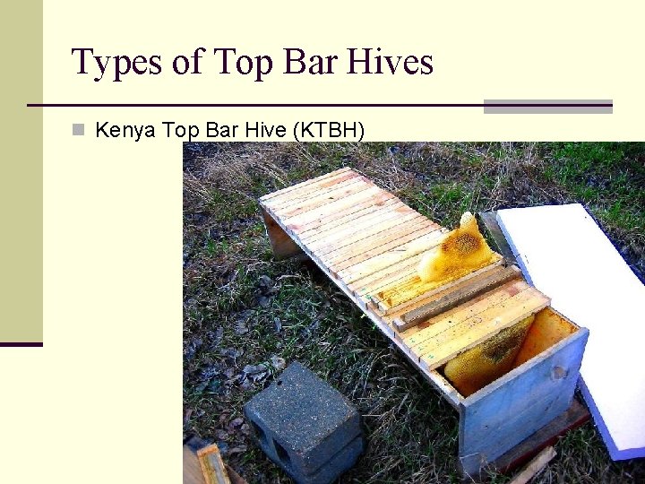 Types of Top Bar Hives n Kenya Top Bar Hive (KTBH) 