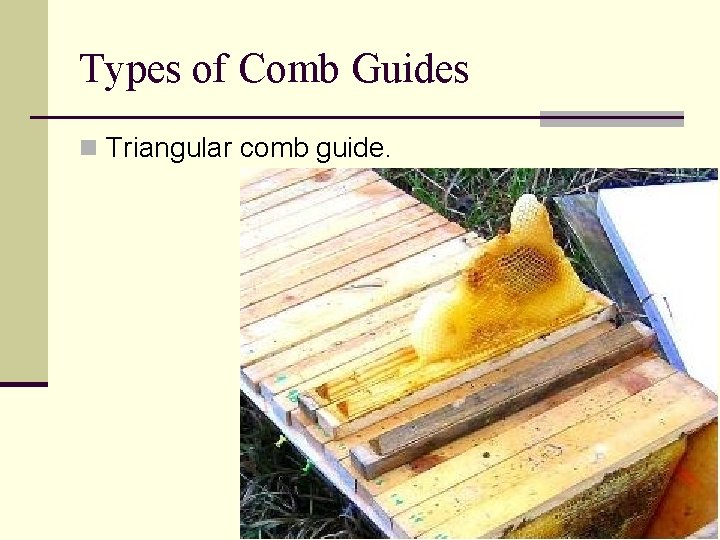 Types of Comb Guides n Triangular comb guide. 