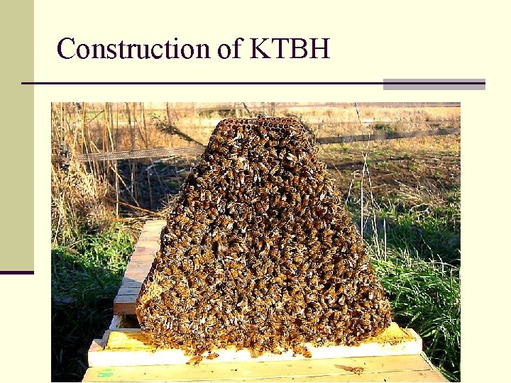 Construction of KTBH 